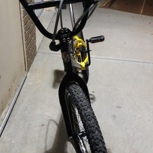 GT Bicycles Interceptor Yellow or Gold and Silver, gray or bare metal