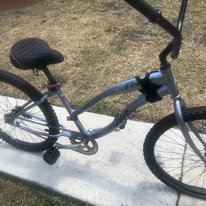 Sun Beach cruiser Silver, gray or bare metal