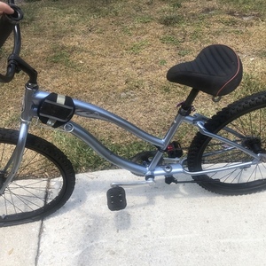 Sun Beach cruiser Silver, gray or bare metal