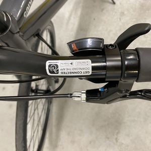 2019 Cannondale Quick Women's 5 Silver, gray or bare metal