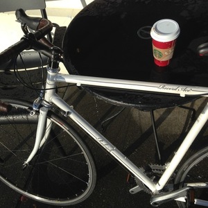 2011 Raleigh Record Ace White
