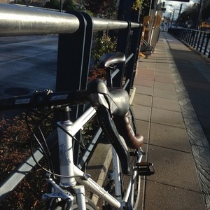 2011 Raleigh Record Ace White