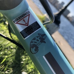2020 Bianchi C-Sport Quattro (Claris) Teal