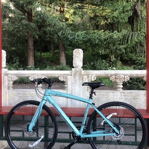 2020 Bianchi C-Sport Quattro (Claris) Teal