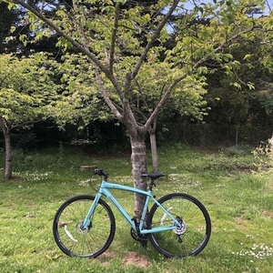 2020 Bianchi C-Sport Quattro (Claris) Teal