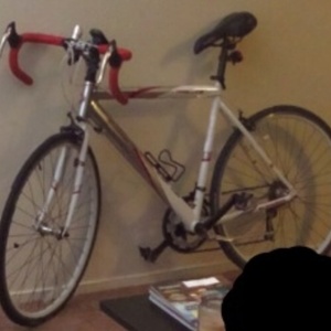 Schwinn White and Red