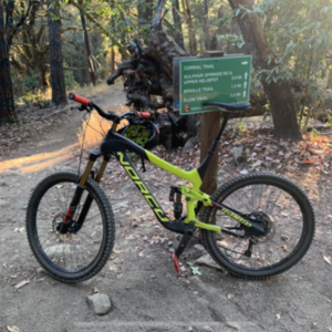 Norco Bikes Range Black