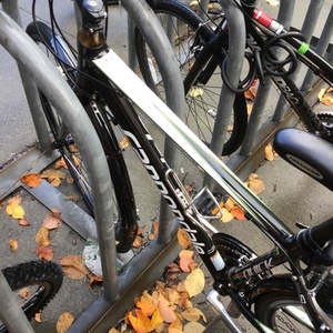 2013 Cannondale Quick Sl 1 Black, Green, and White