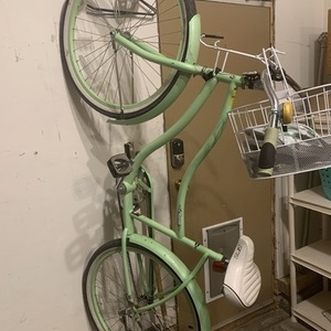 sims charm cruiser bike