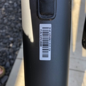 2020 Giant Fantom 2 (L) Silver, gray or bare metal