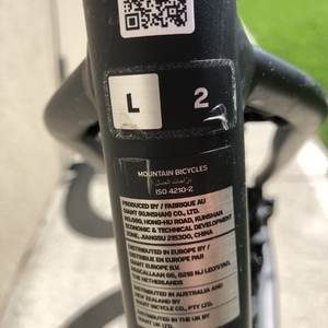 2020 Giant Fantom 2 (L) Silver, gray or bare metal