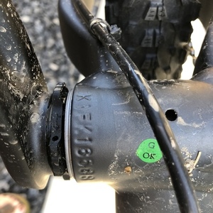 2020 Giant Fantom 2 (L) Silver, gray or bare metal