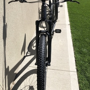 2020 Giant Fantom 2 (L) Silver, gray or bare metal