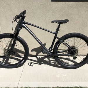 2020 Giant Fantom 2 (L) Silver, gray or bare metal