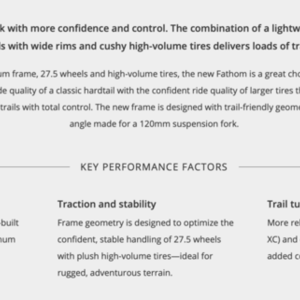 2020 Giant Fantom 2 (L) Silver, gray or bare metal