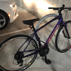 2020 Specialized Purple and Pink