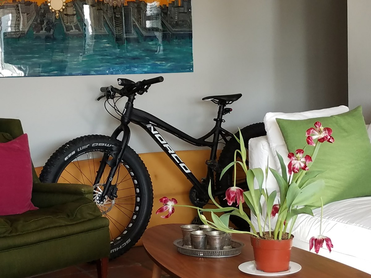 Bike photo