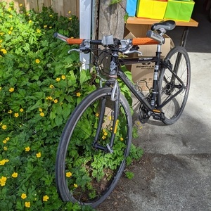 Marin Bikes Black