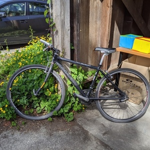Marin Bikes Black