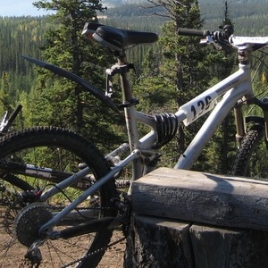 2009 Specialized Stumpjumper FSR Comp Silver, gray or bare metal