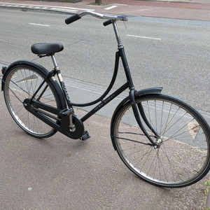 Batavus Old Dutch Black