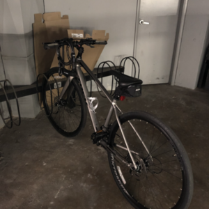 Trek FX Sport 4 Silver, gray or bare metal
