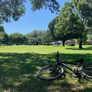2020 Trek Black