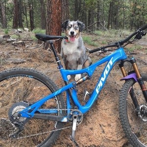 2017 Pivot 429 Mach Trail Carbon 1 Blue and White