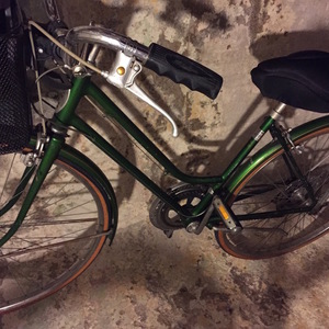 schwinn suburban vintage green