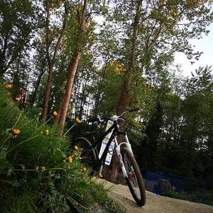 Specialized P.1 Black