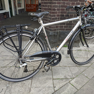 Sparta Creonite Silver, gray or bare metal