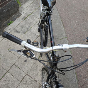 Batavus Cayuca Black