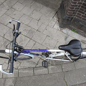 Raleigh Purple Rain Black