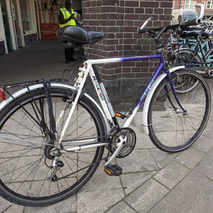 Raleigh Purple Rain Black