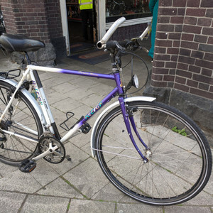 Raleigh Purple Rain Black