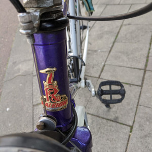 Raleigh Purple Rain Black