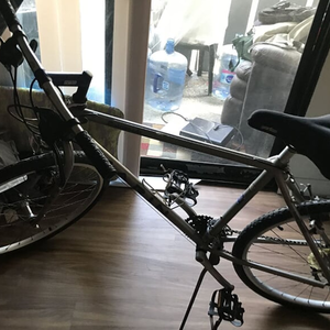 Marin Bikes Muirwoods Silver, gray or bare metal