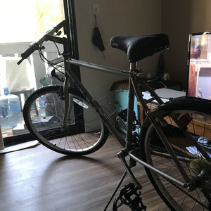 Marin Bikes Muirwoods Silver, gray or bare metal