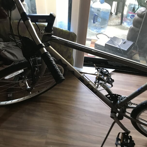 Marin Bikes Muirwoods Silver, gray or bare metal