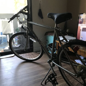 Marin Bikes Muirwoods Silver, gray or bare metal