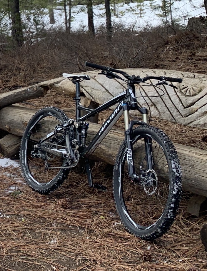 dexter fat bike