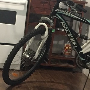 Raleigh Raleigh Black