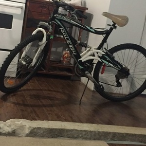 Raleigh Raleigh Black