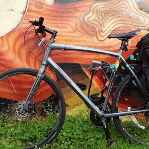 2017 Bianchi C 2 sport Silver, gray or bare metal