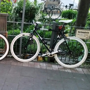 BBF / POLO/TRACK Black and White