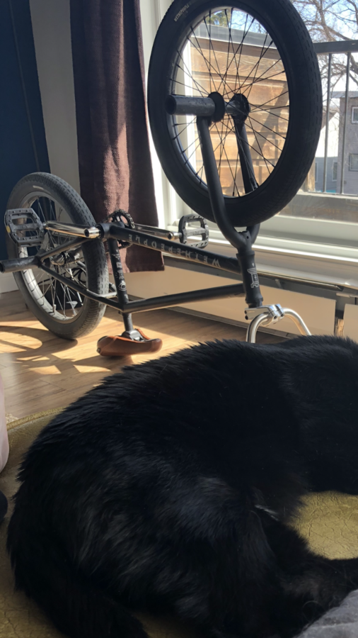 Bike photo