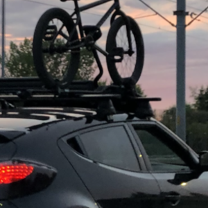 2018 WeThePeople Trust Black