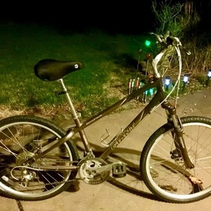 2006 Giant Sedona LX Men's Brown
