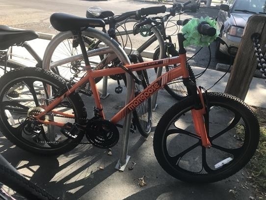 mongoose torment hd 29