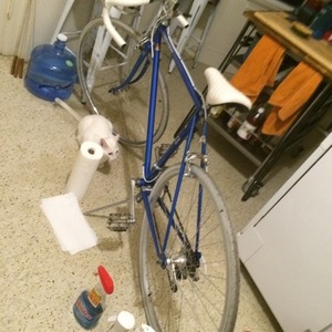 1983 Peugeot P8 Blue
